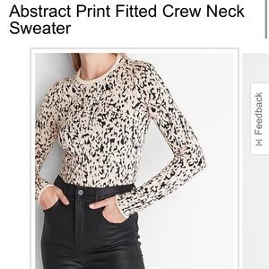 Express crew neck sweater